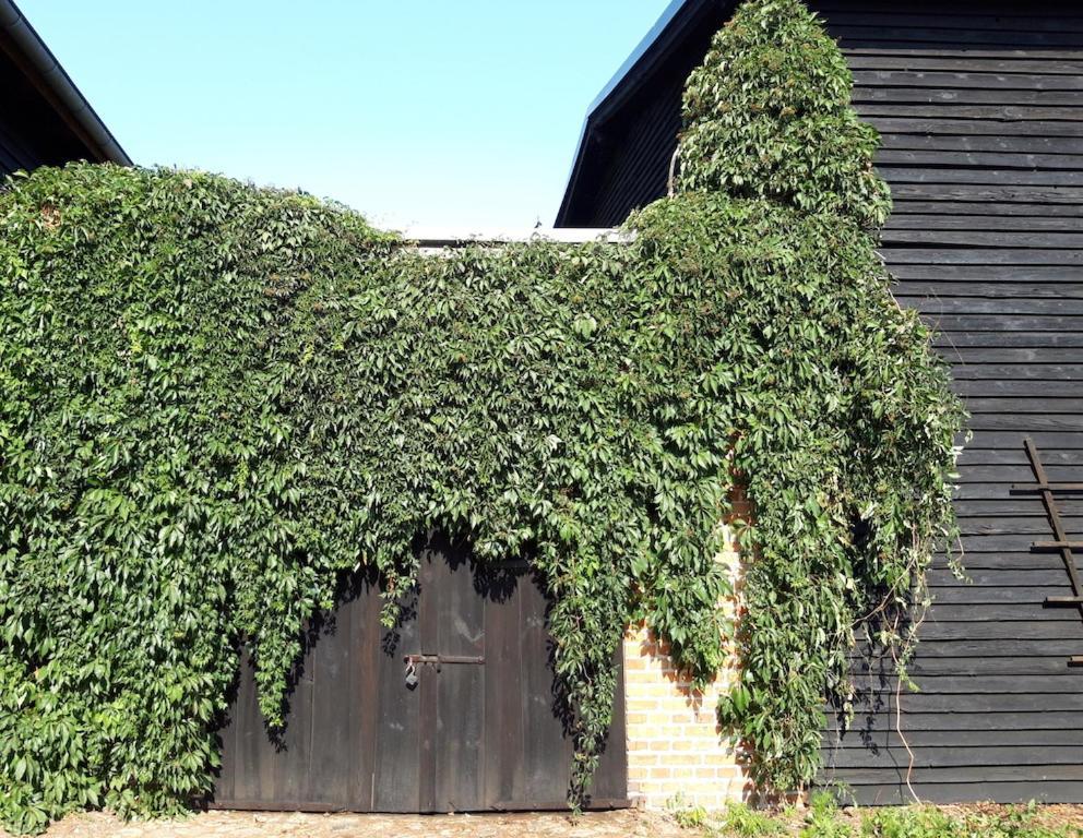 Ein Bett Im Kornfeld - Haus Fernweh - Innenpool Schonfeld  Exteriör bild